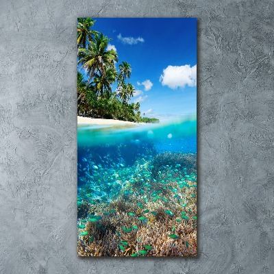 Plexiglasbilder vertikal Korallenriff