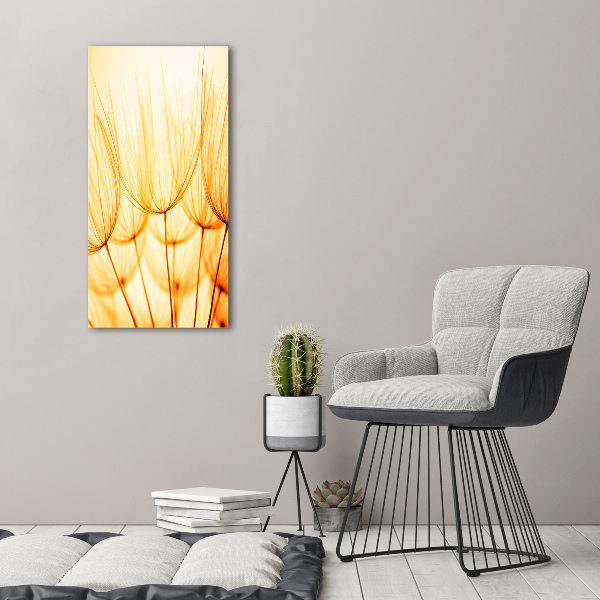 Bild auf Acrylglas vertikal Löwenzahnsamen