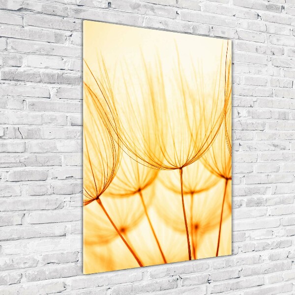 Bild auf Acrylglas vertikal Löwenzahnsamen