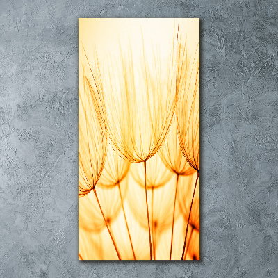 Bild auf Acrylglas vertikal Löwenzahnsamen