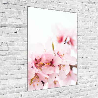 Acrylbild vertikal Mandelblüten