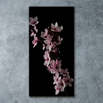 Plexiglasbilder vertikal Kirschblüten