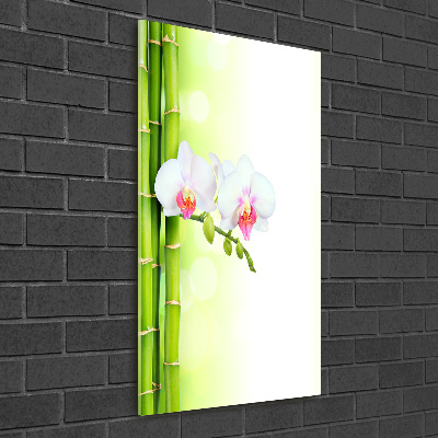 Bild auf Acrylglas vertikal Orchidee und Bambus