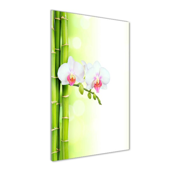 Bild auf Acrylglas vertikal Orchidee und Bambus