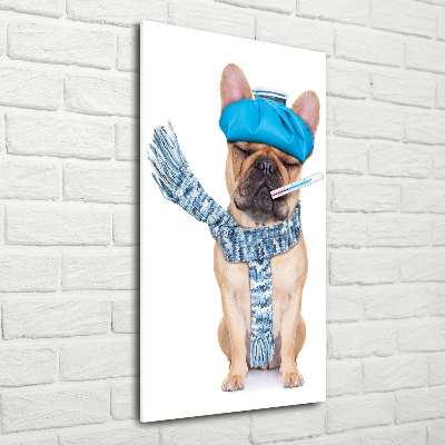 Plexiglasbilder vertikal Kranker Hund