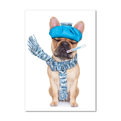 Plexiglasbilder vertikal Kranker Hund