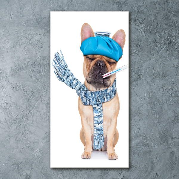 Plexiglasbilder vertikal Kranker Hund