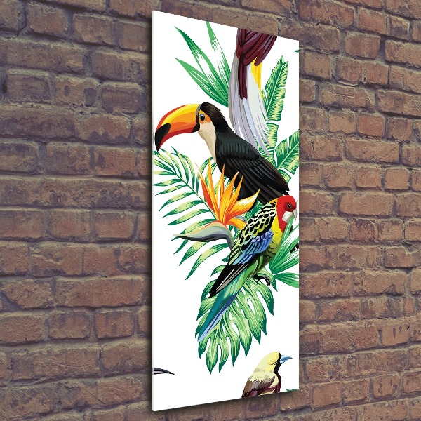 Bild auf Acrylglas vertikal Tropische Vögel