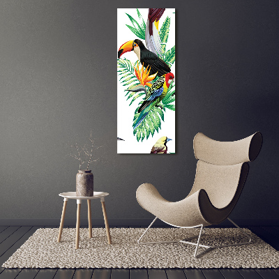 Bild auf Acrylglas vertikal Tropische Vögel