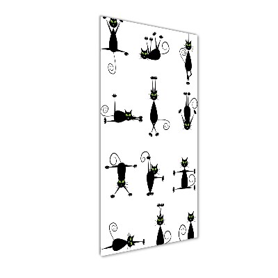 Plexiglasbilder vertikal Katzen