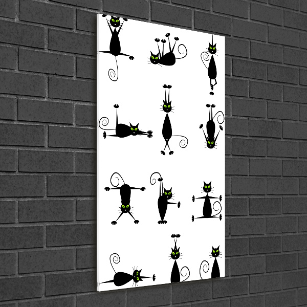 Plexiglasbilder vertikal Katzen
