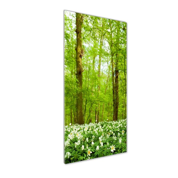 Bild auf Acrylglas vertikal Blumen im Wald