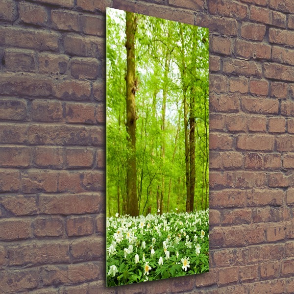 Bild auf Acrylglas vertikal Blumen im Wald
