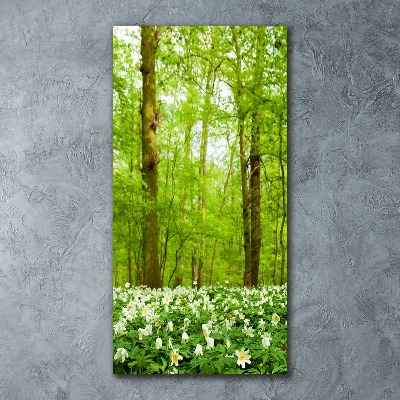 Bild auf Acrylglas vertikal Blumen im Wald