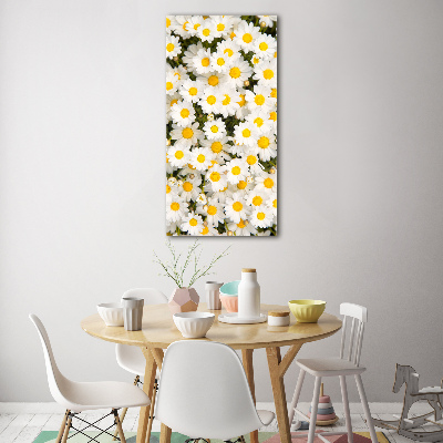 Bild auf Acrylglas vertikal Gänseblümchen