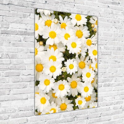 Bild auf Acrylglas vertikal Gänseblümchen