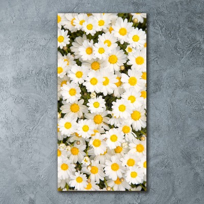 Bild auf Acrylglas vertikal Gänseblümchen