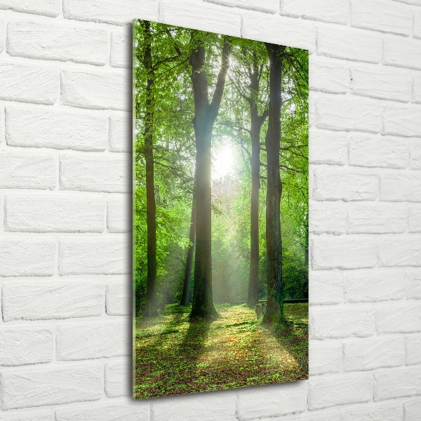 Modernes Acrylbild vertikal Die Sonne im Wald