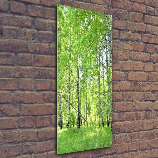 Bild auf Acrylglas vertikal Birkenwald