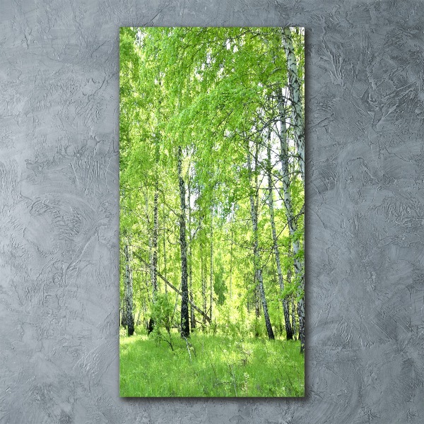 Bild auf Acrylglas vertikal Birkenwald