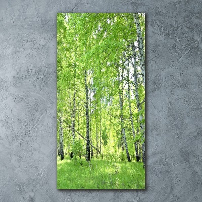 Bild auf Acrylglas vertikal Birkenwald