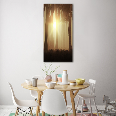 Plexiglasbilder vertikal Nebel im Wald