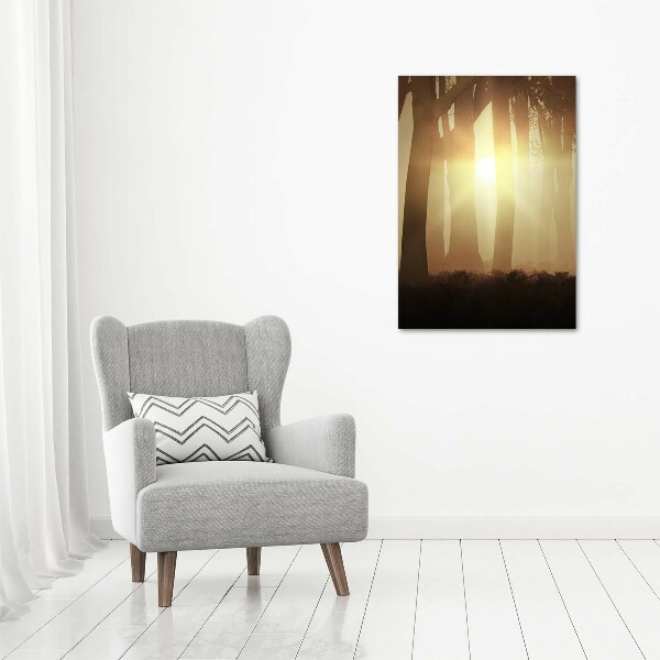 Plexiglasbilder vertikal Nebel im Wald