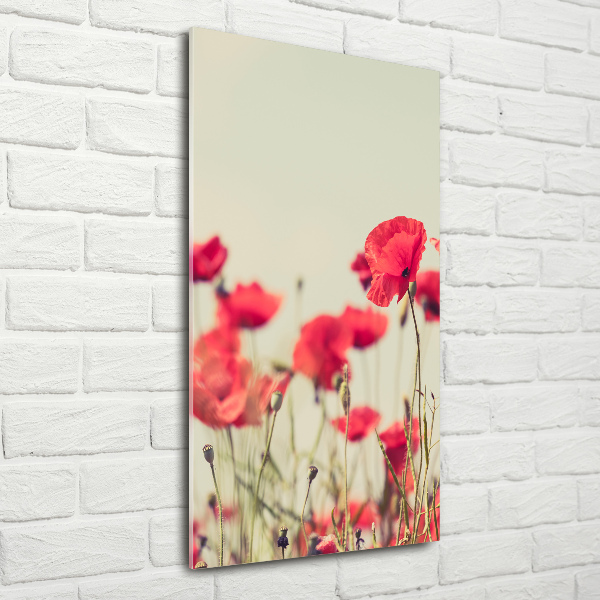 Acrylbild vertikal Wildmohn