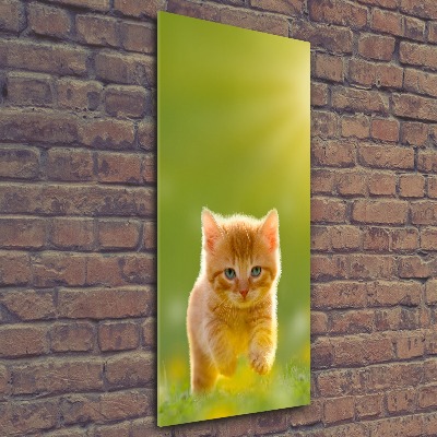 Bild auf Acrylglas vertikal Ingwerkatze