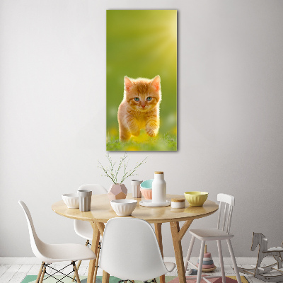 Bild auf Acrylglas vertikal Ingwerkatze