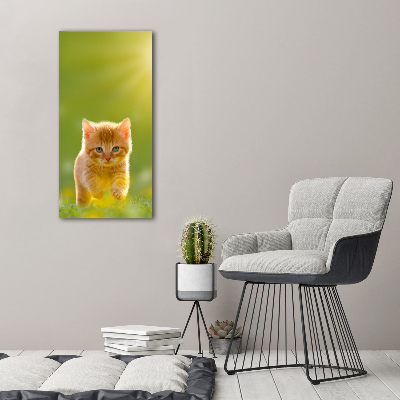 Bild auf Acrylglas vertikal Ingwerkatze