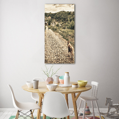 Plexiglasbilder vertikal Zwei Hunde vom Hügel