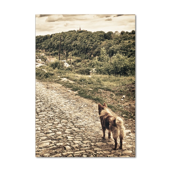 Plexiglasbilder vertikal Zwei Hunde vom Hügel