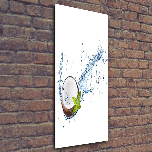 Plexiglasbilder vertikal Kokosnuss