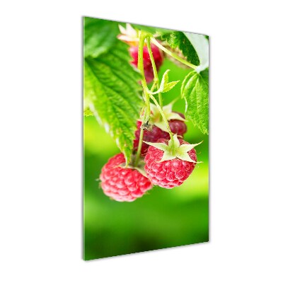 Bild auf Acrylglas vertikal Himbeeren am Strauch