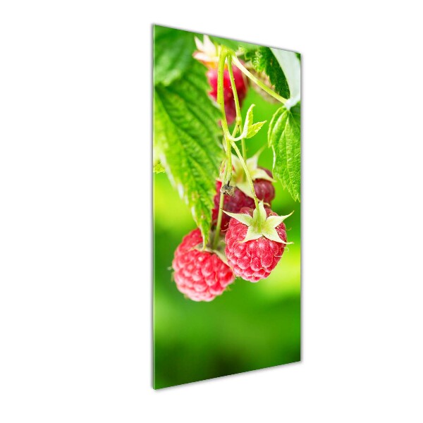 Bild auf Acrylglas vertikal Himbeeren am Strauch