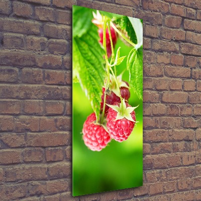 Bild auf Acrylglas vertikal Himbeeren am Strauch