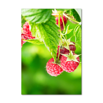 Bild auf Acrylglas vertikal Himbeeren am Strauch