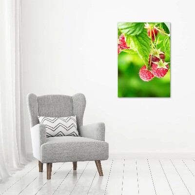 Bild auf Acrylglas vertikal Himbeeren am Strauch