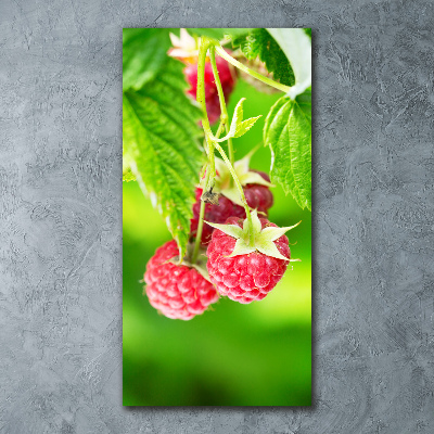 Bild auf Acrylglas vertikal Himbeeren am Strauch