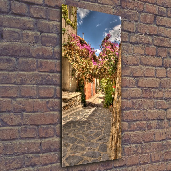 Bild auf Acrylglas vertikal Französische Straßen