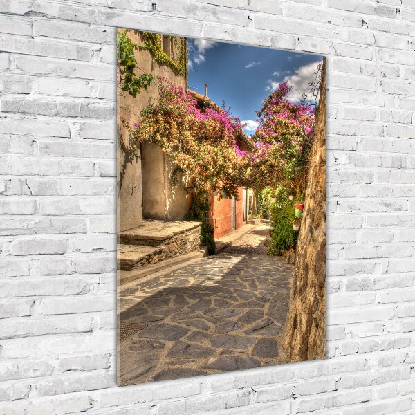 Bild auf Acrylglas vertikal Französische Straßen