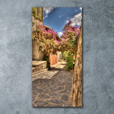 Bild auf Acrylglas vertikal Französische Straßen