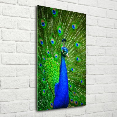 Acrylbild vertikal Pfau