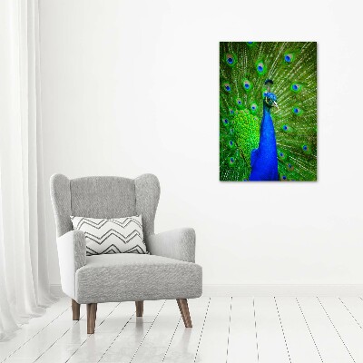 Acrylbild vertikal Pfau