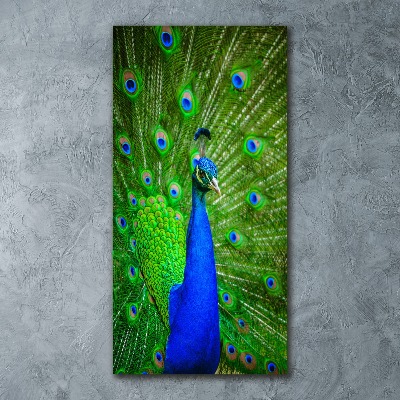 Acrylbild vertikal Pfau