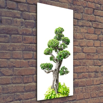 Modernes Acrylbild vertikal Bonsai-Baum