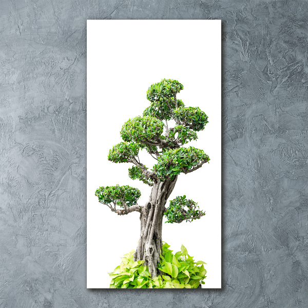Modernes Acrylbild vertikal Bonsai-Baum