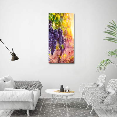 Plexiglasbilder vertikal Weinberg