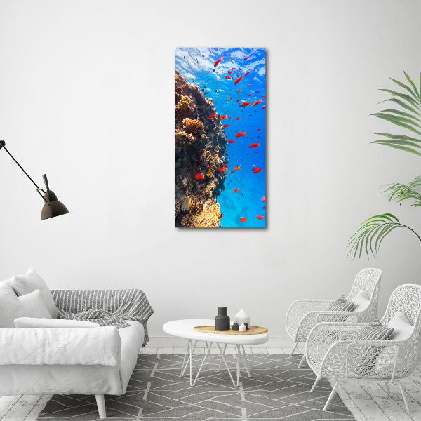 Plexiglasbilder vertikal Korallenriff